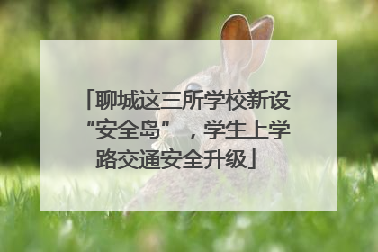 聊城这三所学校新设“安全岛”，学生上学路交通安全升级