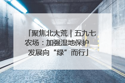 聚焦北大荒｜五九七农场：加强湿地保护 发展向“绿”而行