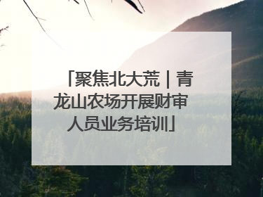 聚焦北大荒｜青龙山农场开展财审人员业务培训