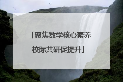 聚焦数学核心素养 校际共研促提升