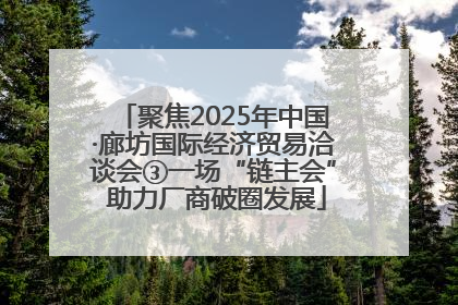 聚焦2025年中国·廊坊国际经济贸易洽谈会③一场“链主会” 助力厂商破圈发展