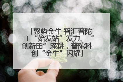 聚势金牛 智汇普陀〡“始发站”发力、“创新田”深耕，普陀科创“金牛”闪耀