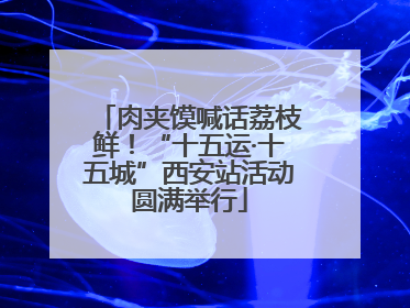 肉夹馍喊话荔枝鲜！“十五运·十五城”西安站活动圆满举行