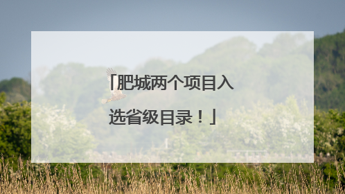 肥城两个项目入选省级目录！