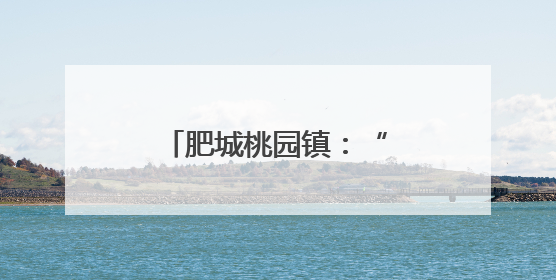 肥城桃园镇：“公益电影放映+村晚”点亮夜生活