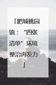 肥城桃园镇：“四张清单”环境整治再发力