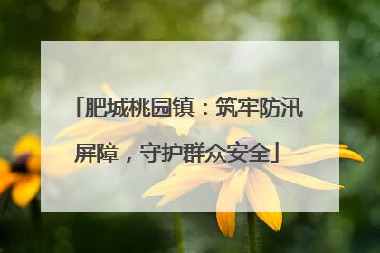 肥城桃园镇：筑牢防汛屏障，守护群众安全