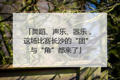舞蹈、声乐、器乐，这场比赛长沙的“团”与“角”都来了