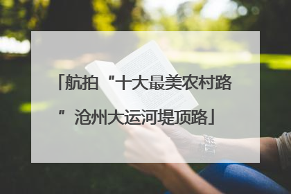 航拍“十大最美农村路”沧州大运河堤顶路