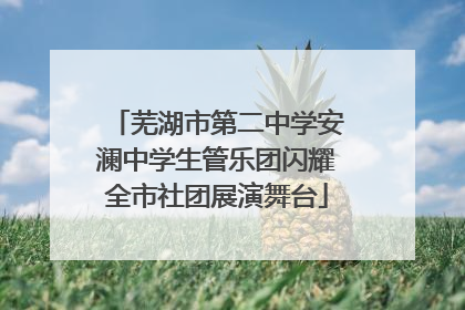 芜湖市第二中学安澜中学生管乐团闪耀全市社团展演舞台
