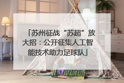 苏州征战“苏超”放大招：公开征集人工智能技术助力足球队