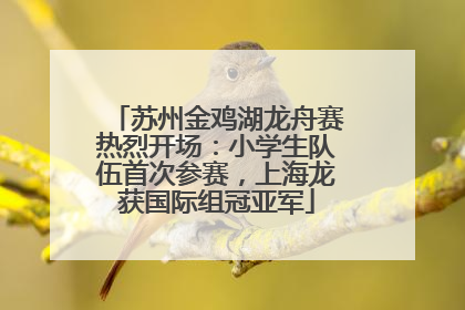 苏州金鸡湖龙舟赛热烈开场：小学生队伍首次参赛，上海龙获国际组冠亚军