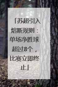 苏超引入熔断规则：单场净胜球超过8个，比赛立即终止