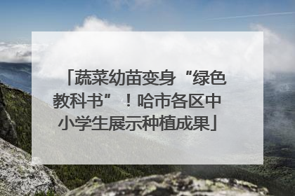 蔬菜幼苗变身“绿色教科书”！哈市各区中小学生展示种植成果