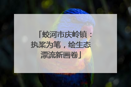 蛟河市庆岭镇：执桨为笔，绘生态漂流新画卷
