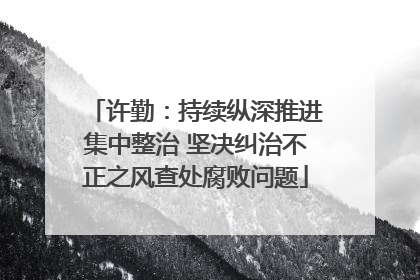 许勤：持续纵深推进集中整治 坚决纠治不正之风查处腐败问题