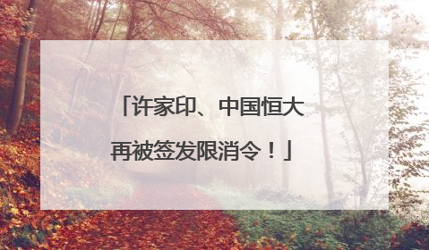 许家印、中国恒大再被签发限消令！