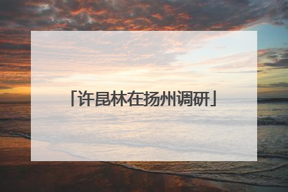 许昆林在扬州调研