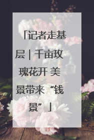 记者走基层｜千亩玫瑰花开 美景带来“钱景”