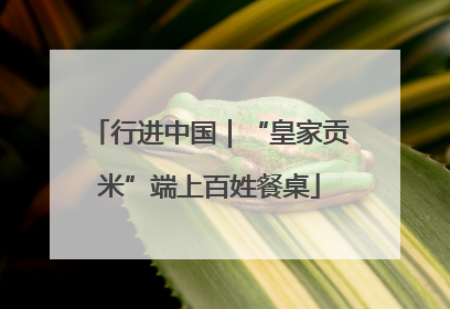 行进中国｜“皇家贡米”端上百姓餐桌