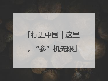 行进中国｜这里，“参”机无限