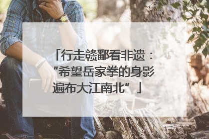 行走赣鄱看非遗：“希望岳家拳的身影遍布大江南北”