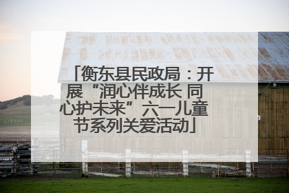 衡东县民政局：开展“润心伴成长 同心护未来”六一儿童节系列关爱活动