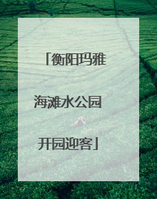衡阳玛雅海滩水公园开园迎客