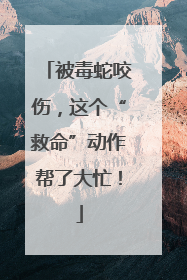 被毒蛇咬伤，这个“救命”动作帮了大忙！