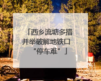 西乡流塘多措并举破解地铁口“停车难”