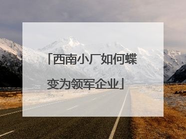 西南小厂如何蝶变为领军企业