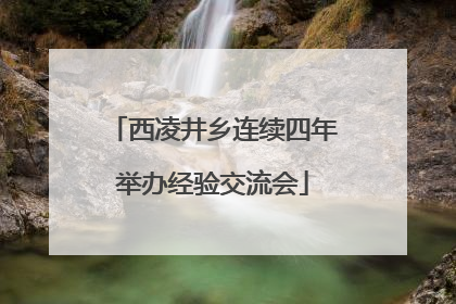 西凌井乡连续四年举办经验交流会