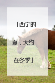 西宁的夏，大约在冬季