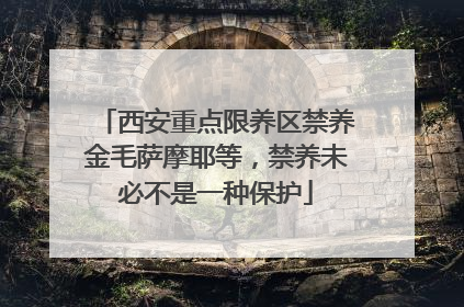 西安重点限养区禁养金毛萨摩耶等，禁养未必不是一种保护