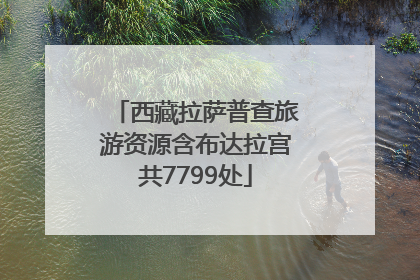 西藏拉萨普查旅游资源含布达拉宫共7799处