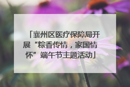 襄州区医疗保障局开展“粽香传情，家国情怀”端午节主题活动