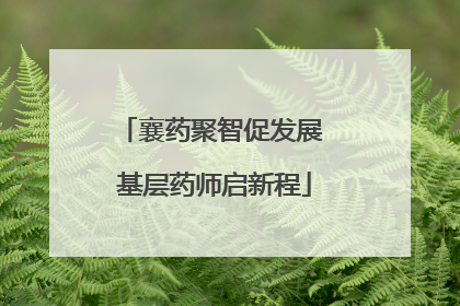 襄药聚智促发展 基层药师启新程