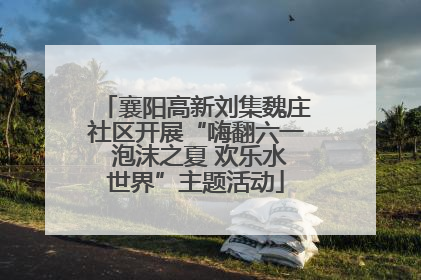 襄阳高新刘集魏庄社区开展“嗨翻六一 泡沫之夏 欢乐水世界”主题活动