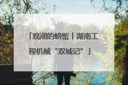 观潮的螃蟹丨湖南工程机械“双城记”