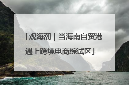 观海潮｜当海南自贸港遇上跨境电商综试区