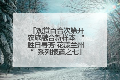 观赏百合次第开 农旅融合新样本 “胜日寻芳·花漾兰州”系列报道之七