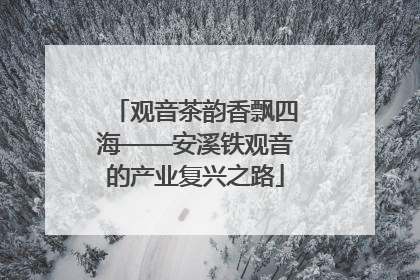 观音茶韵香飘四海——安溪铁观音的产业复兴之路