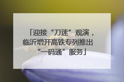 迎接“刀迷”观演，临沂增开高铁专列推出“一码通”服务