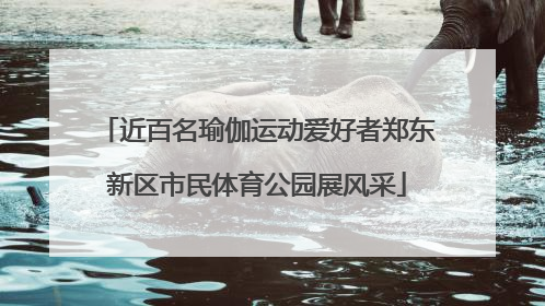 近百名瑜伽运动爱好者郑东新区市民体育公园展风采