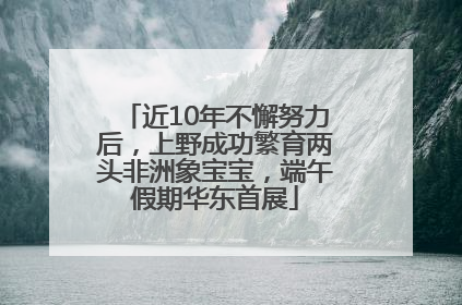 近10年不懈努力后，上野成功繁育两头非洲象宝宝，端午假期华东首展