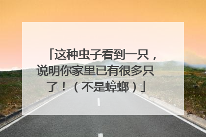 这种虫子看到一只，说明你家里已有很多只了！（不是蟑螂）