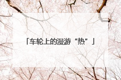 车轮上的漫游“热”
