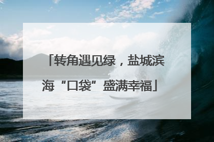 转角遇见绿，盐城滨海“口袋”盛满幸福