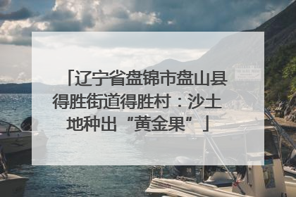 辽宁省盘锦市盘山县得胜街道得胜村：沙土地种出“黄金果”
