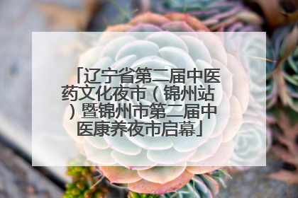 辽宁省第二届中医药文化夜市（锦州站）暨锦州市第二届中医康养夜市启幕